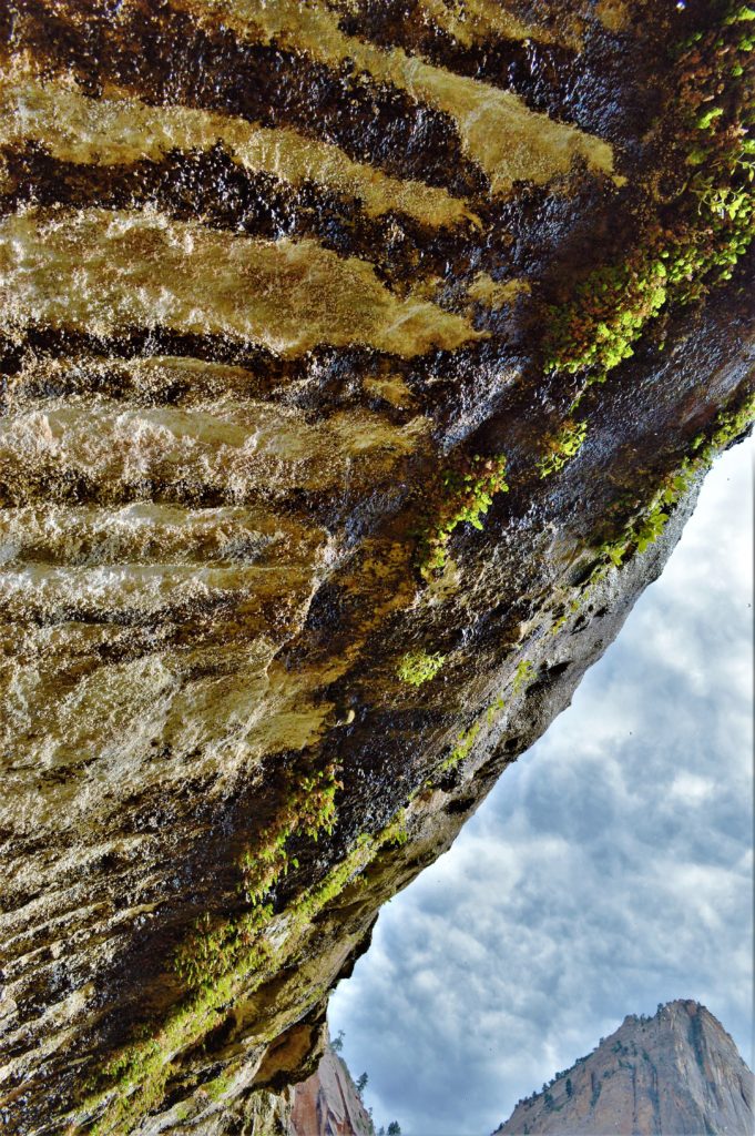 Weeping rock at zion, utah
