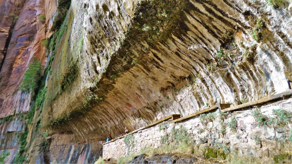 Weeping rock feature in Zion National Park, Utah