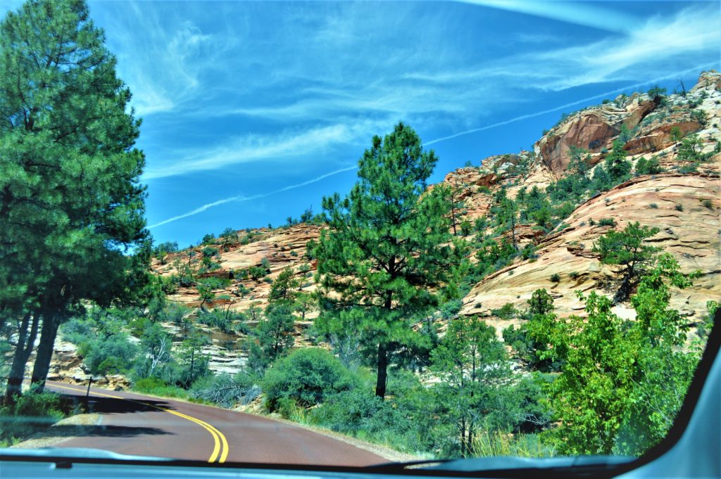 Zion national park, road through the canyon, Utah