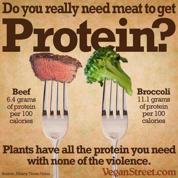 Vegan meme broccoli beef protein