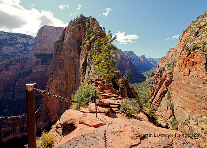 angels landing trail zion national park