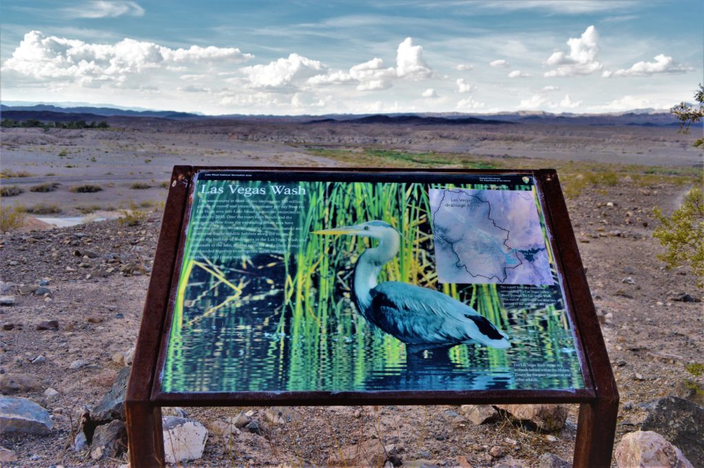 Las Vegas Wash bird, Lake mead