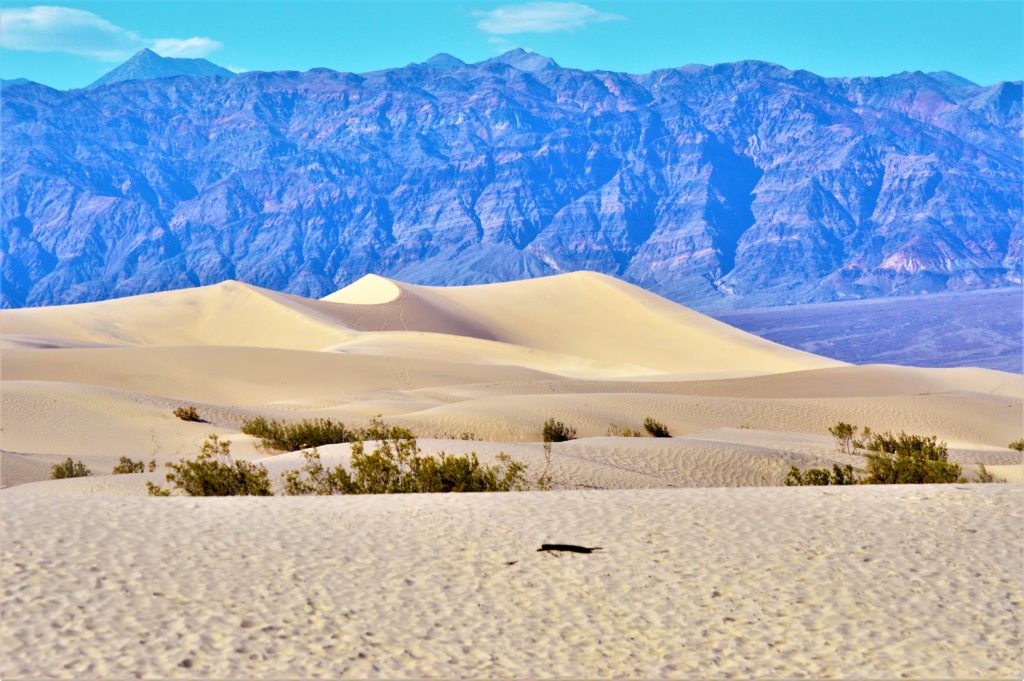 Mesquite sand dunes, death valley