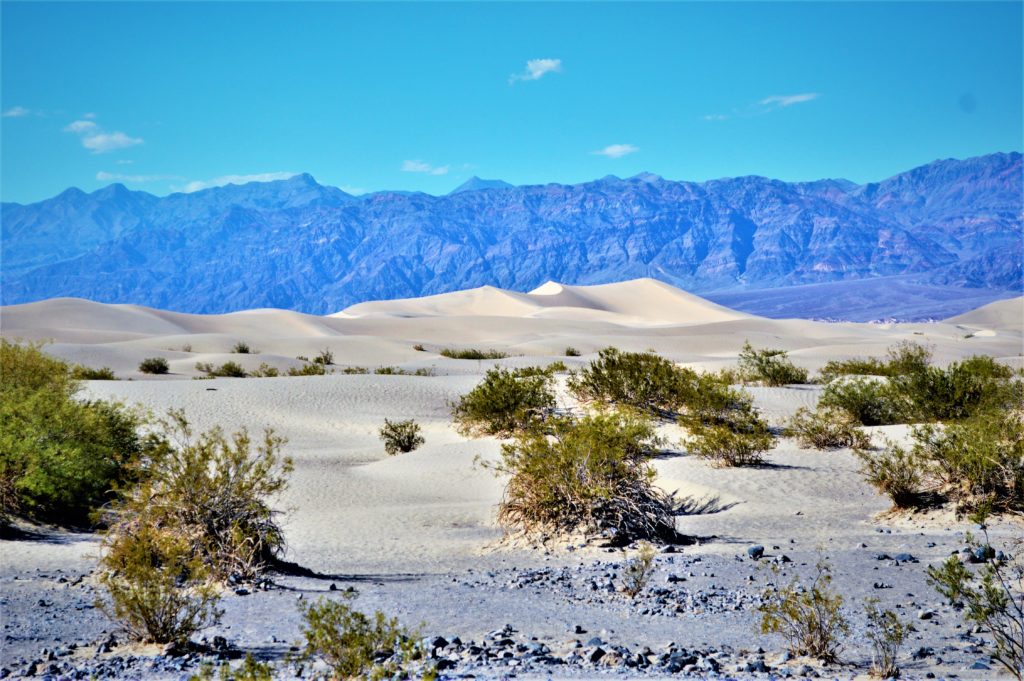 Mesquite sand dunes, death valley national park, nevada, california