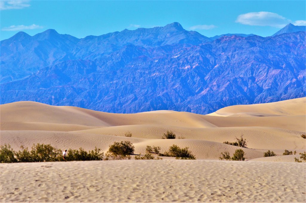 Sand dunes in death valley, nevada, usa