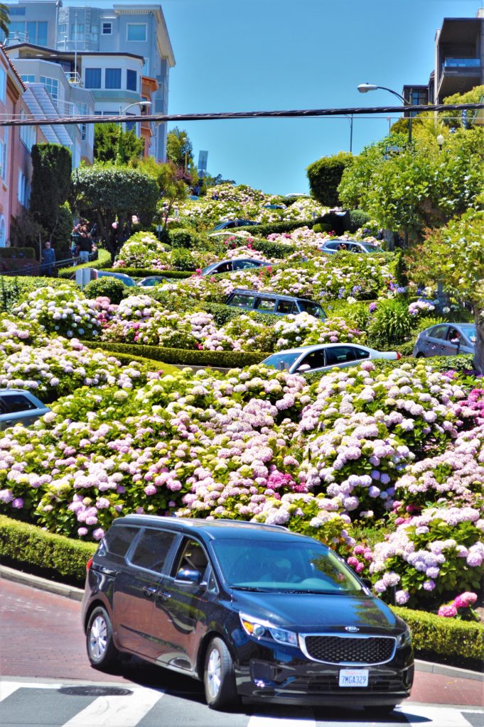 Car driving down Lombard Street, San Francisco, USA