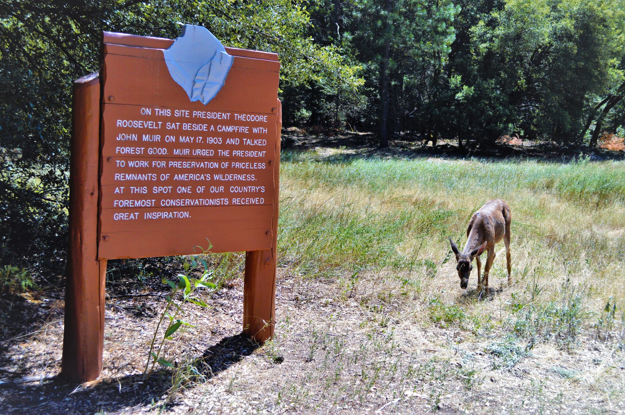 Dear at sign, Yosemite National Park, California