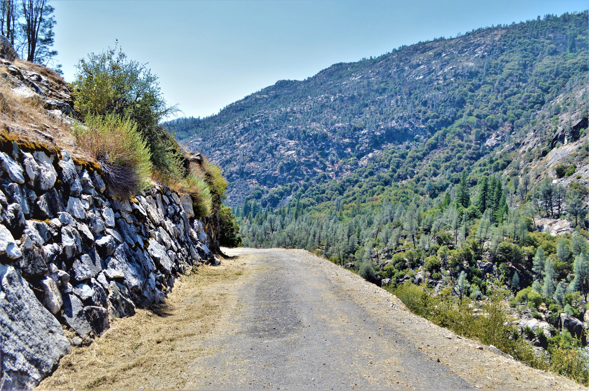 Hiking path, Hetch Hetchy, California