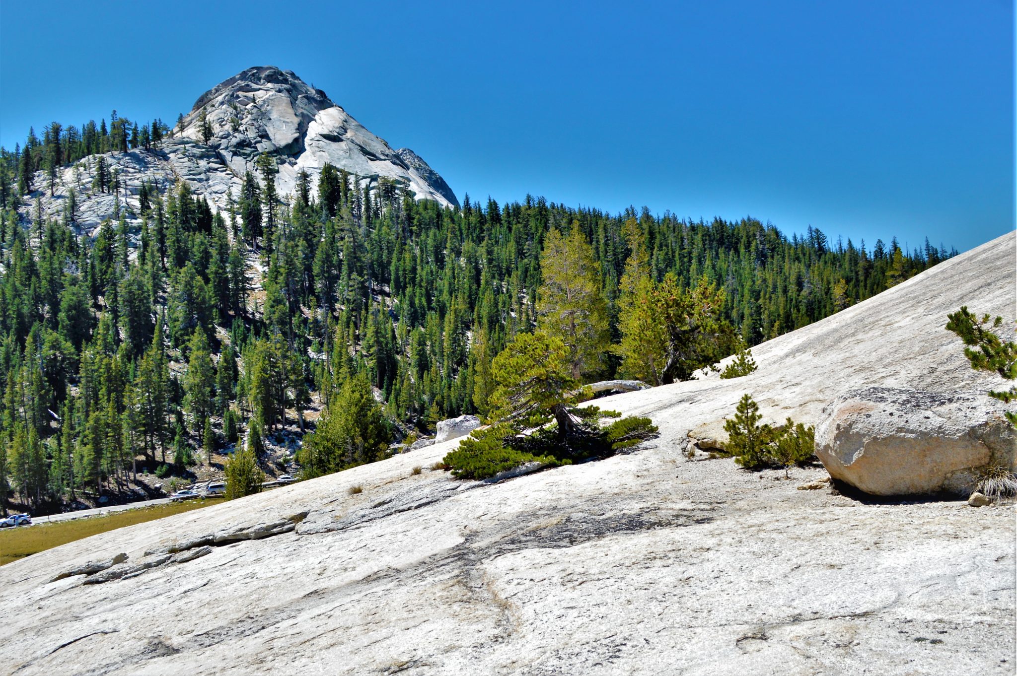 Hill climbing, Yosemite National Park, California