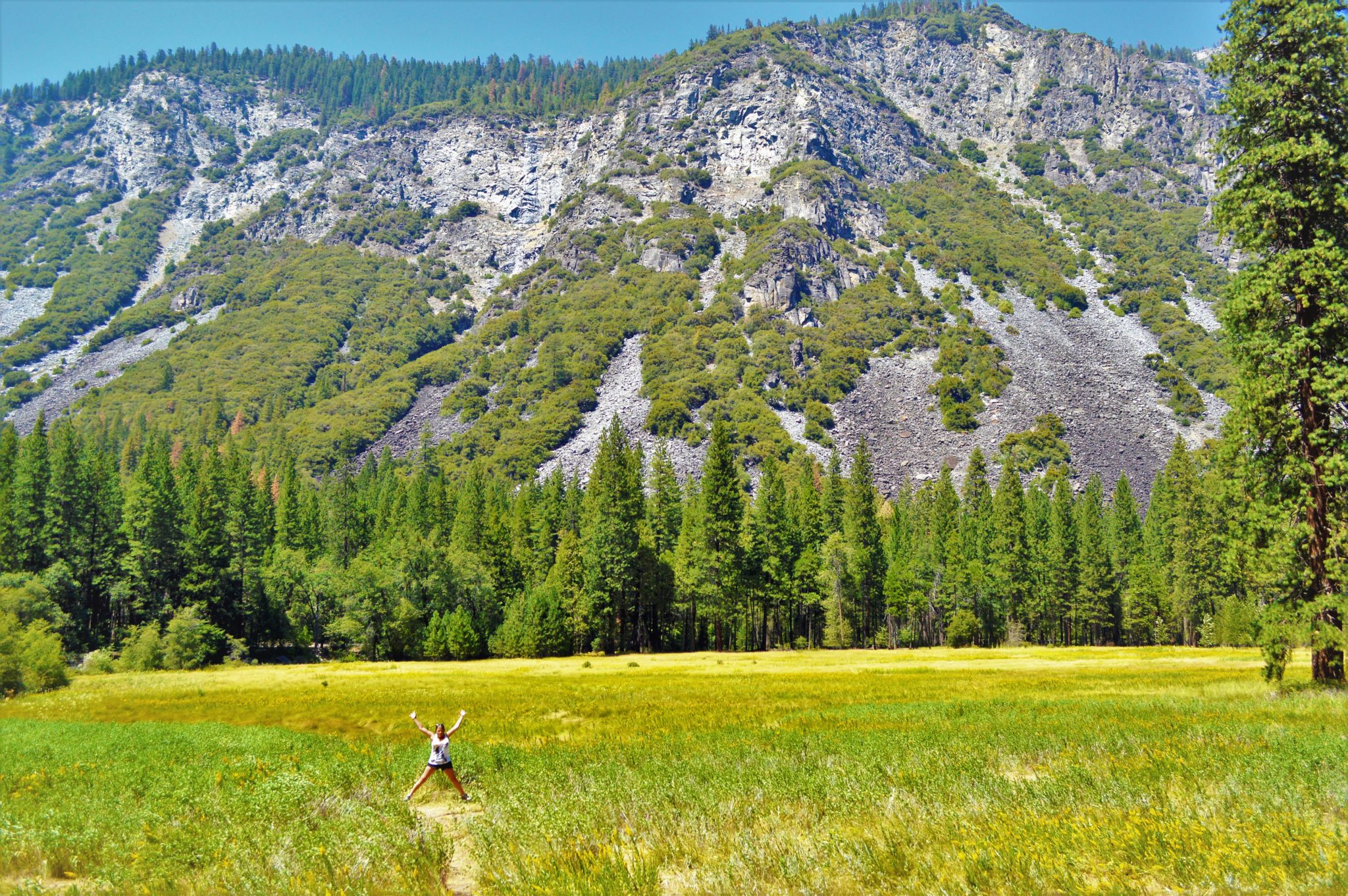 Jumping in meadows, Yosemite National Park, California