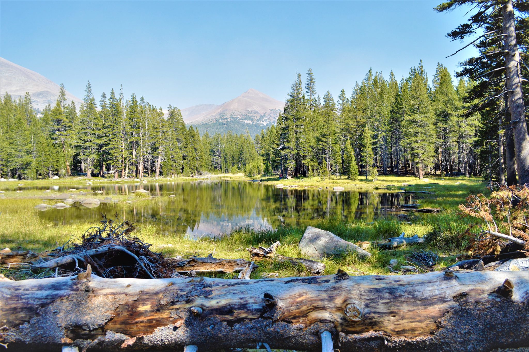 Lake, Yosemite, California