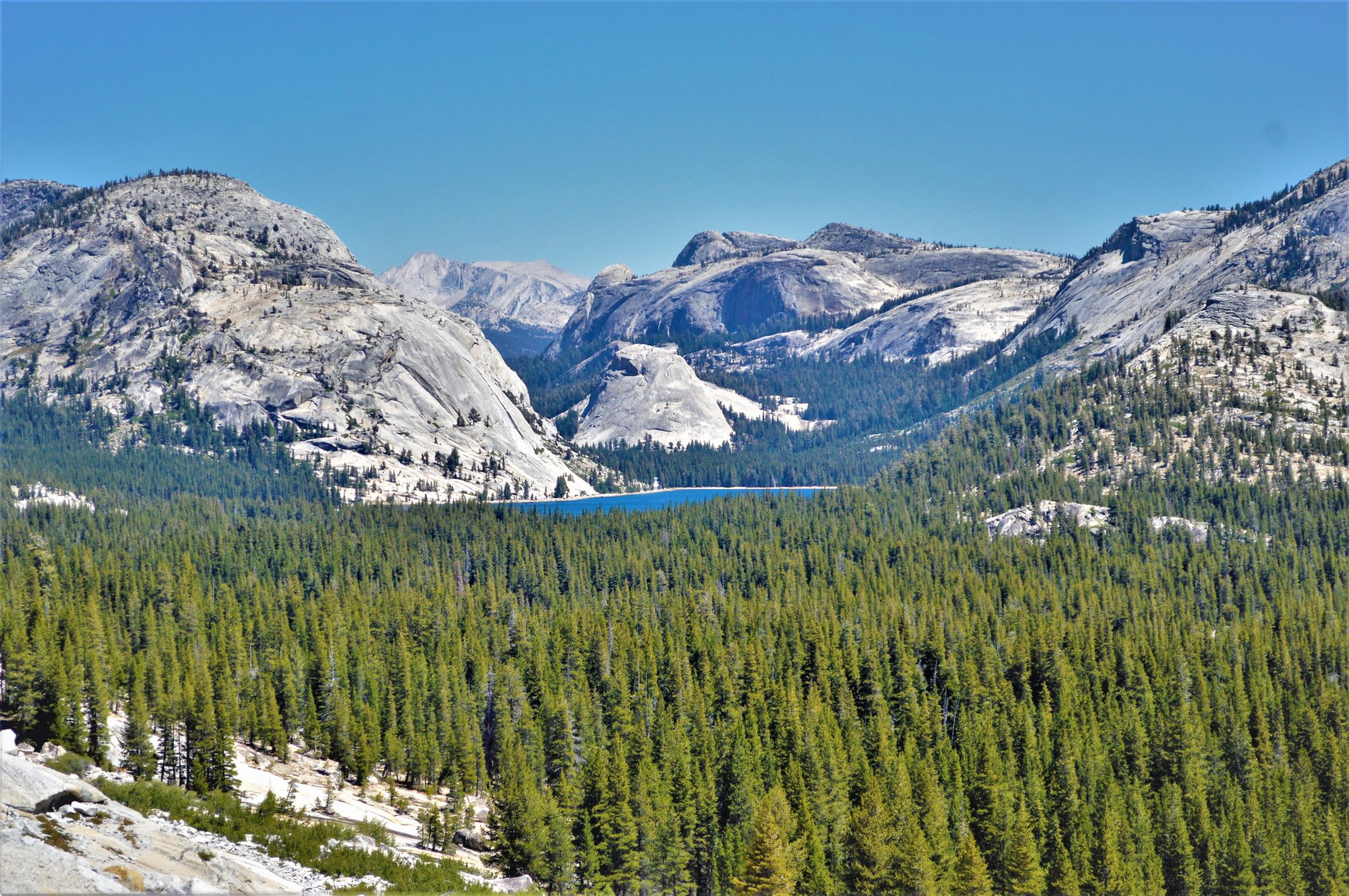 Lake, Yosemite National Park, California