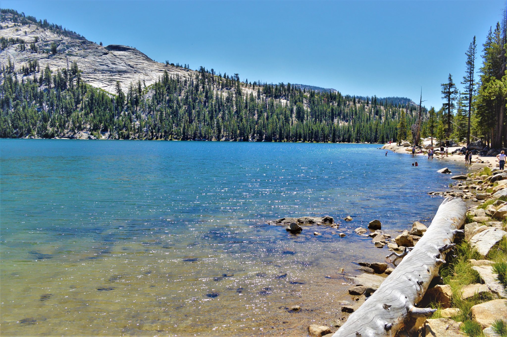 Lake in Yosemite national Park, California