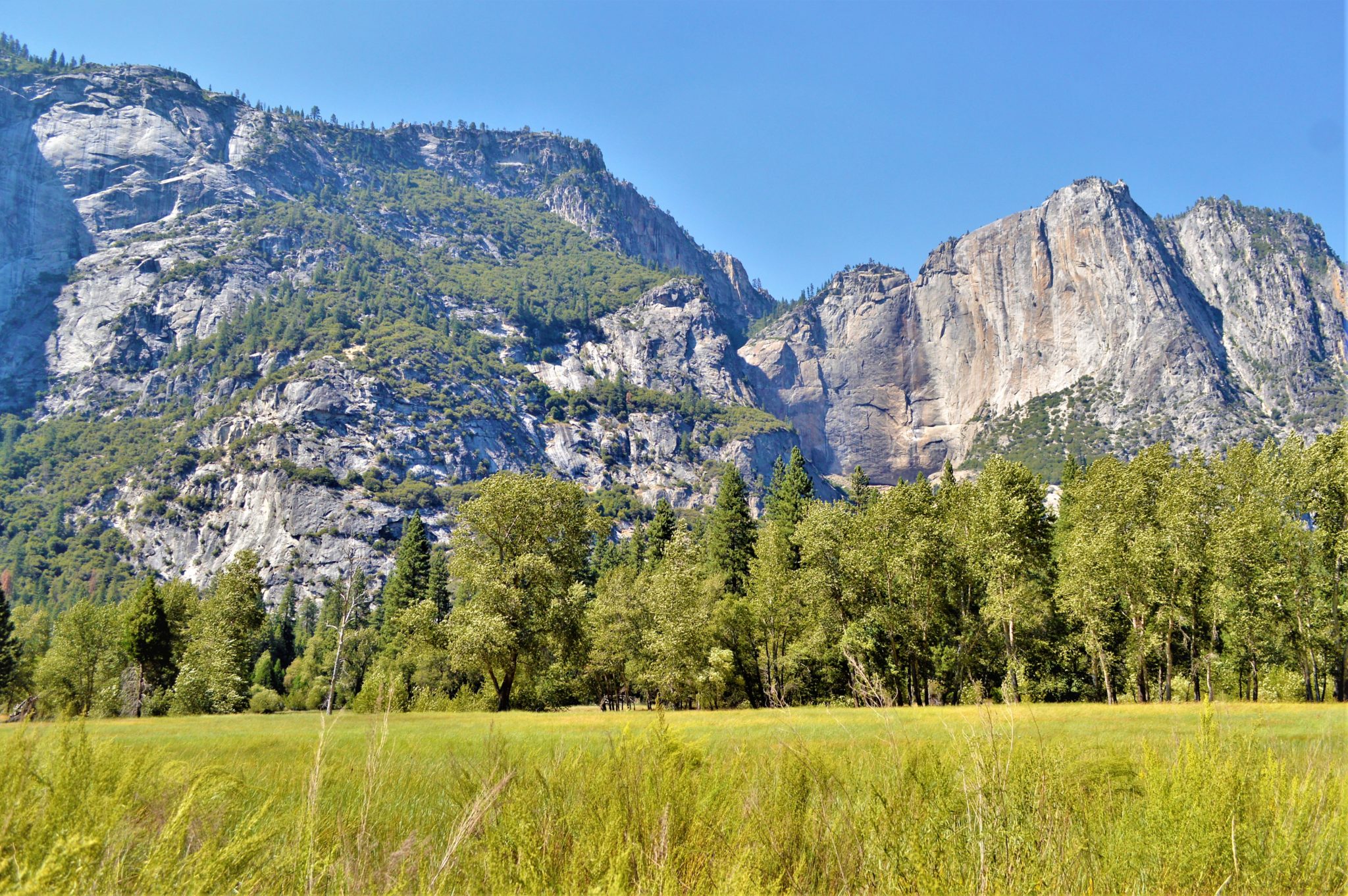 Meadows, Yosemite National Park, California, things to do at yosemite