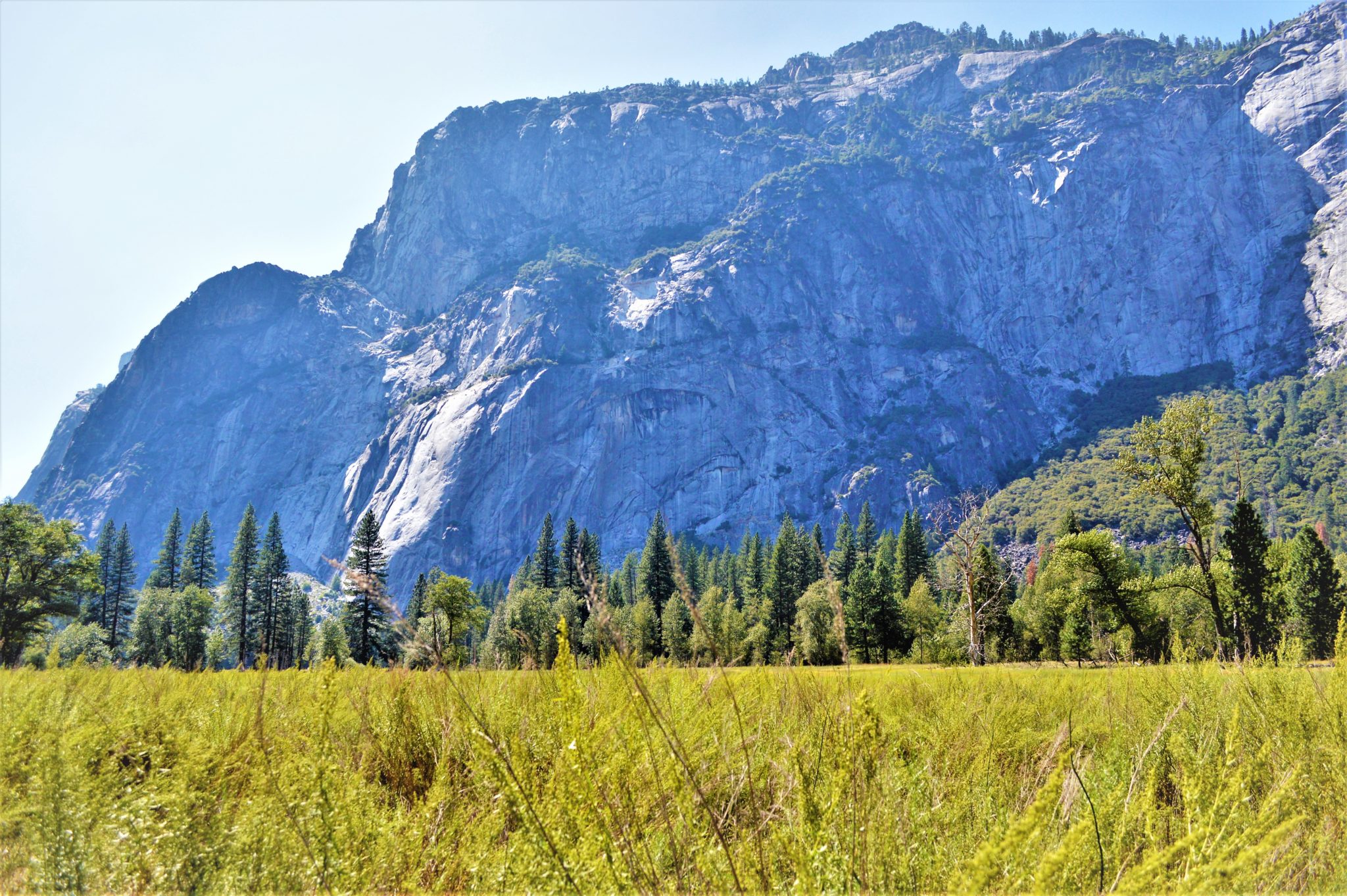 Mountains and meadows, Yosemite National Park, California