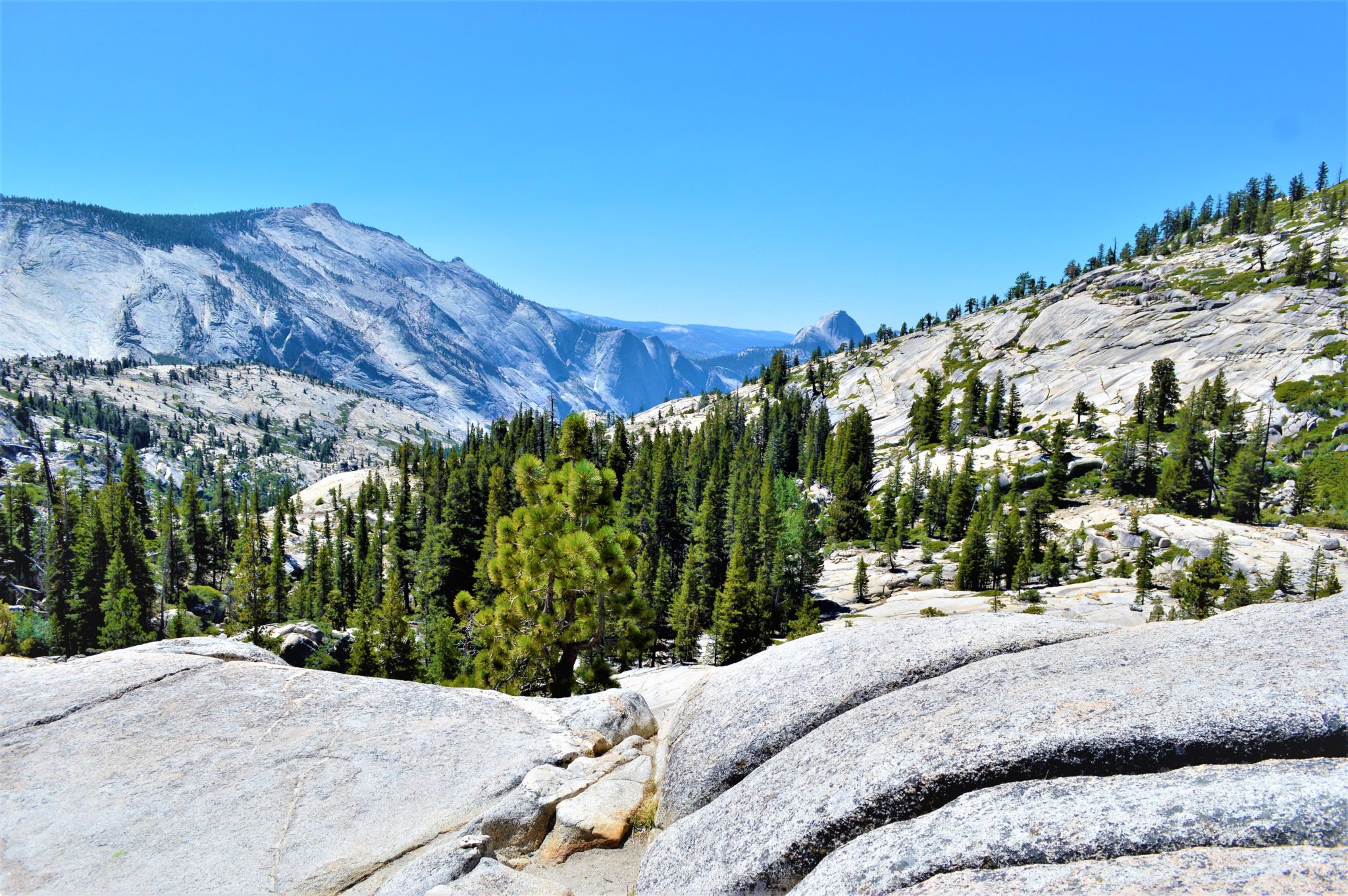 Mountains at Yosemite National Park, California