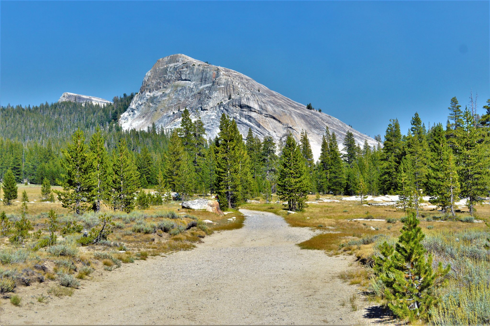 PCT hiking trail, Yosemite National Park, California, things to do at yosemite