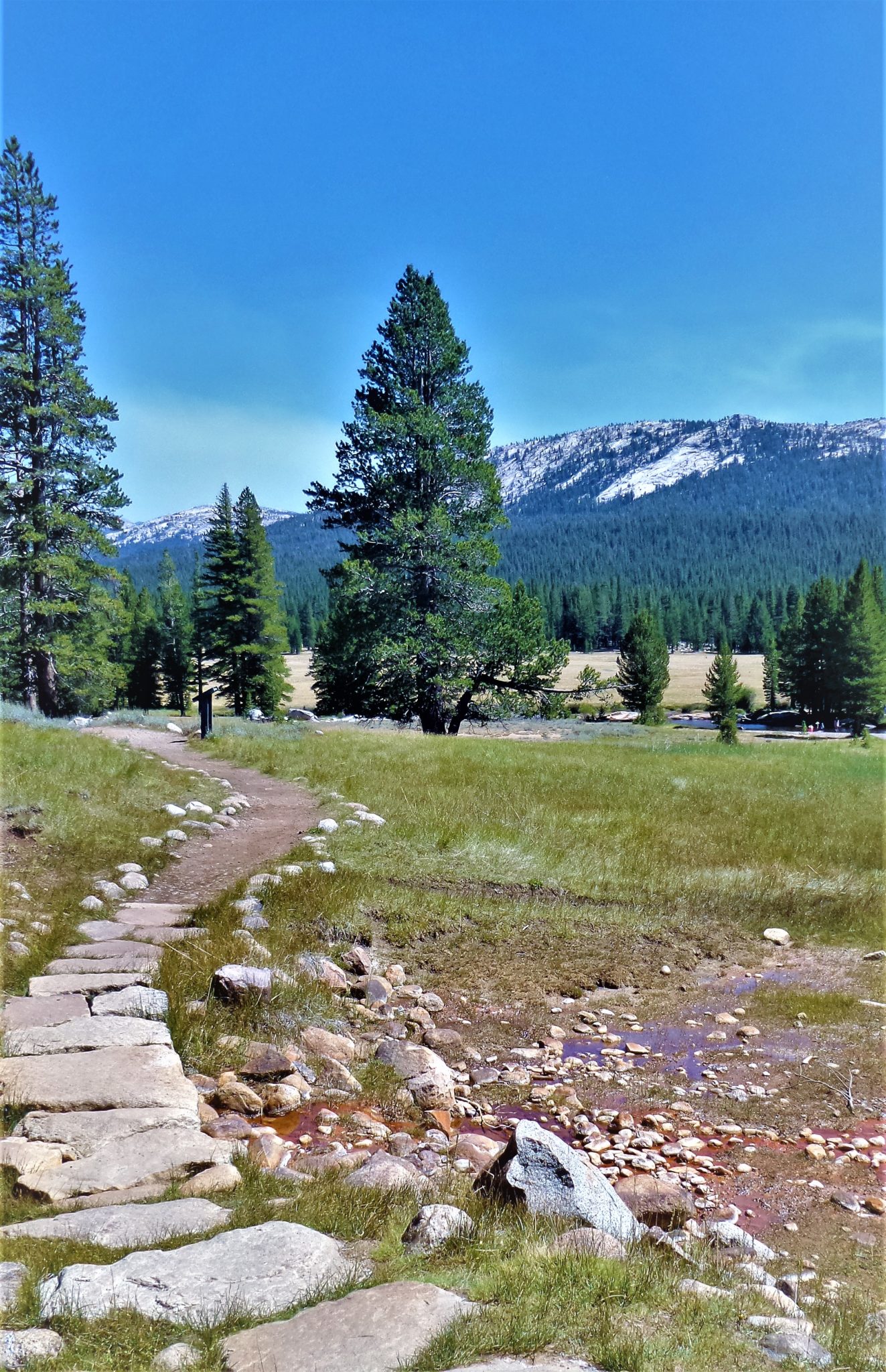 PCT path, Yosemite, California