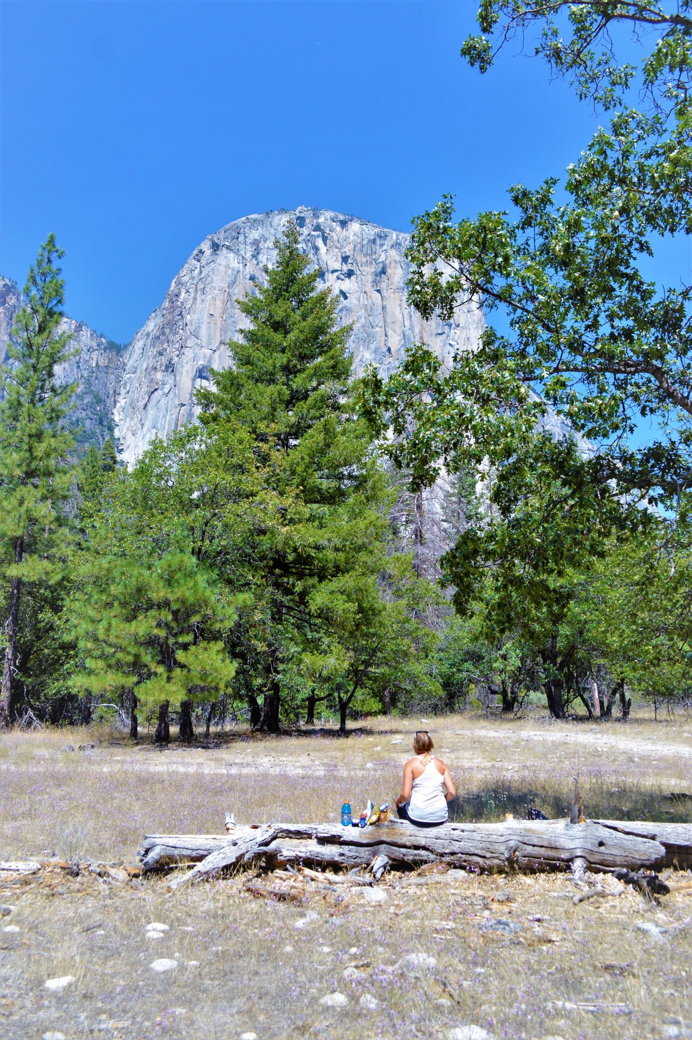 Picnic at El Capitan mountain, Yosemite National Park, things to do at yosemite