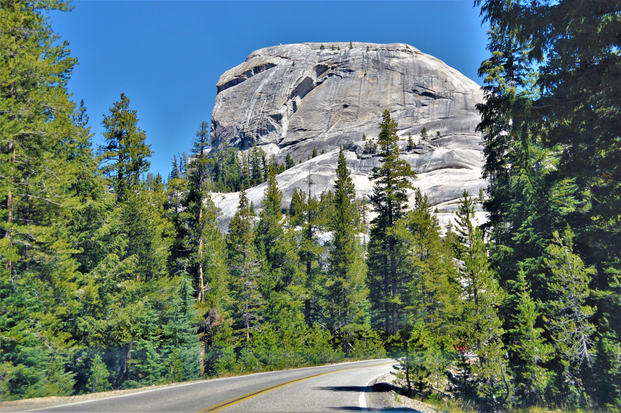 Road trip Yosemite, California