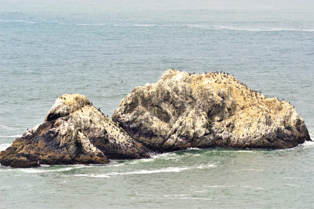 Seal Rock, San Francisco, Pacific Ocean, USA