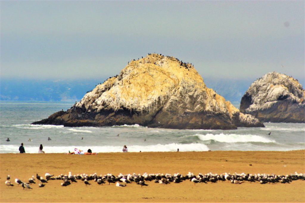 Seal Rock, San Francisco, USA