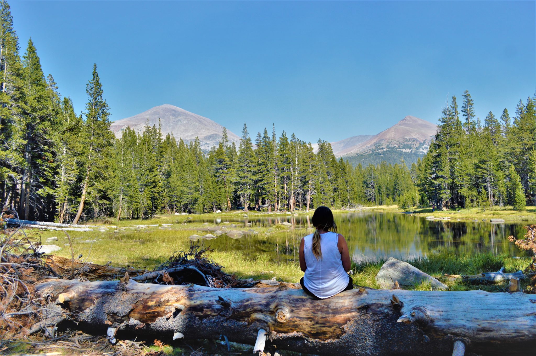 Sitting at lake, Yosemite National Park, California, things to do at yosemite