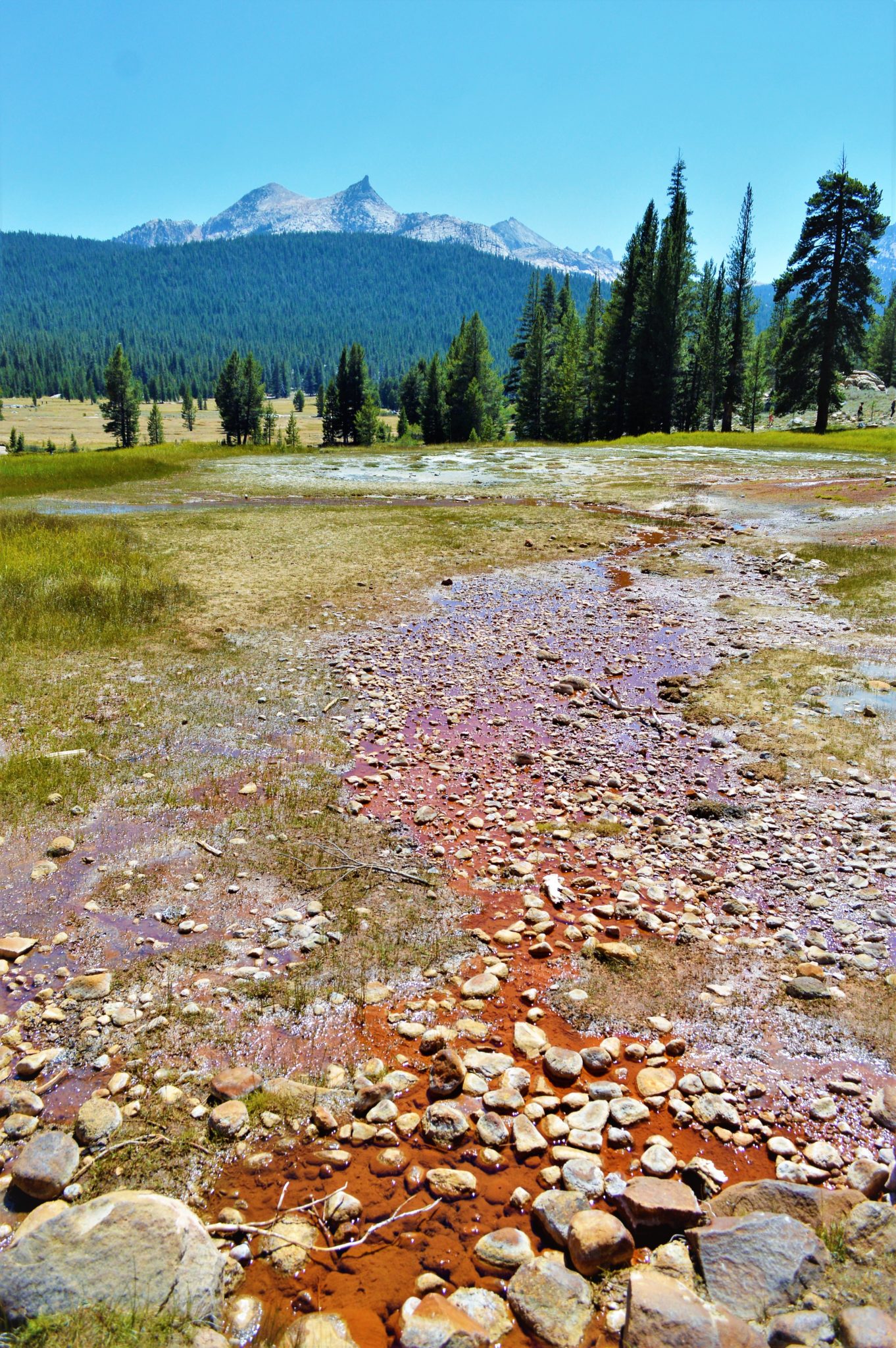 Soda Springs in Yosemite, california