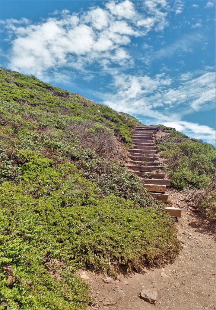Steps up toTwin Peaks, San Francisco, USA