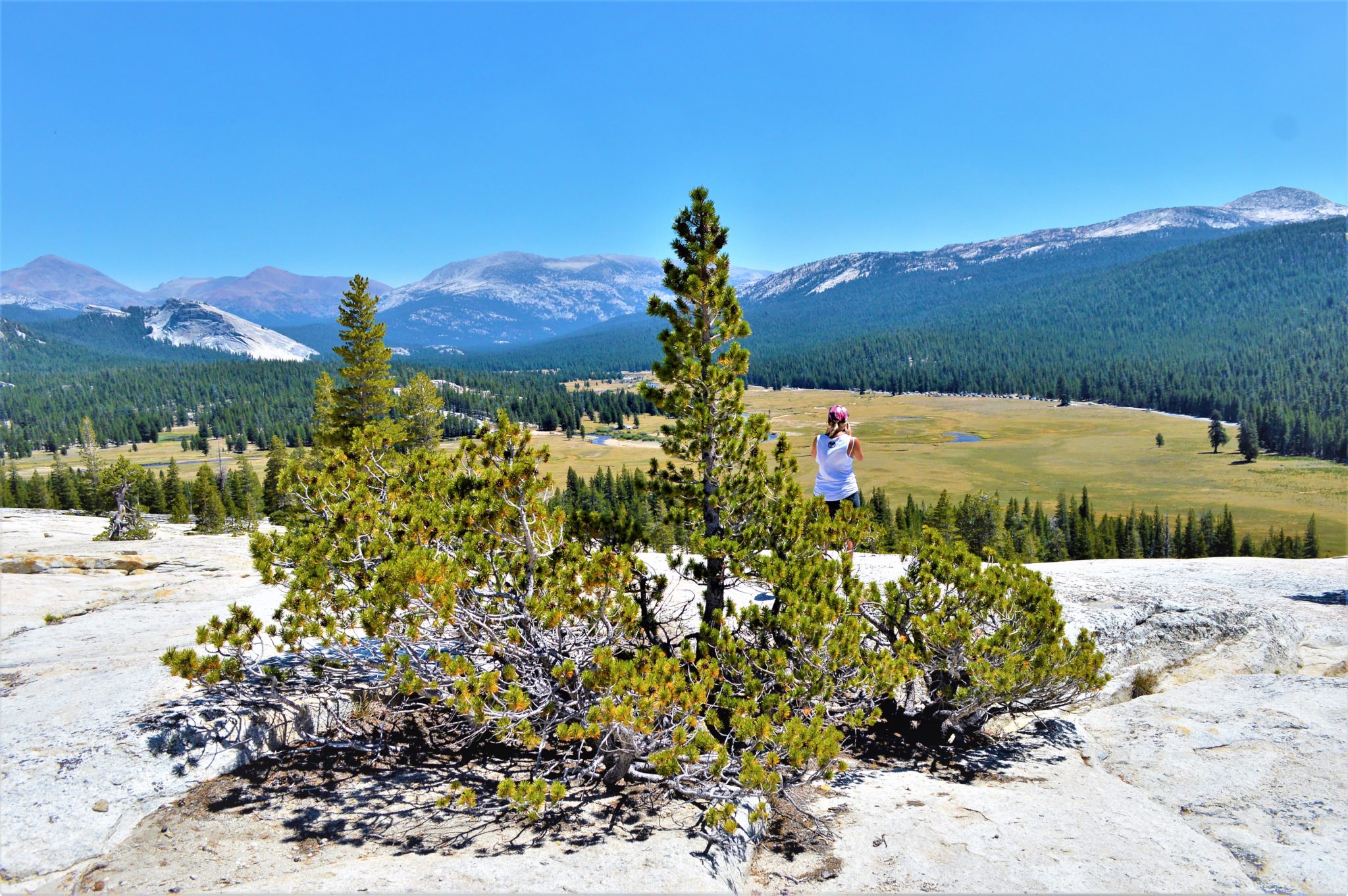 Top of the hill, Yosemite National Park, California