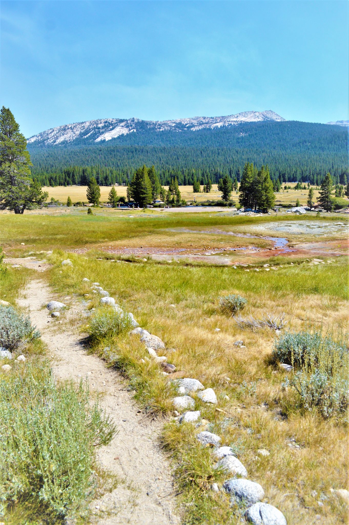 Trail, PCT, Yosemite National Park, California