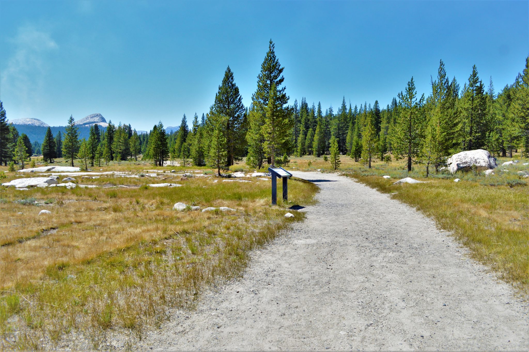 Trail in Yosemite National Park, California