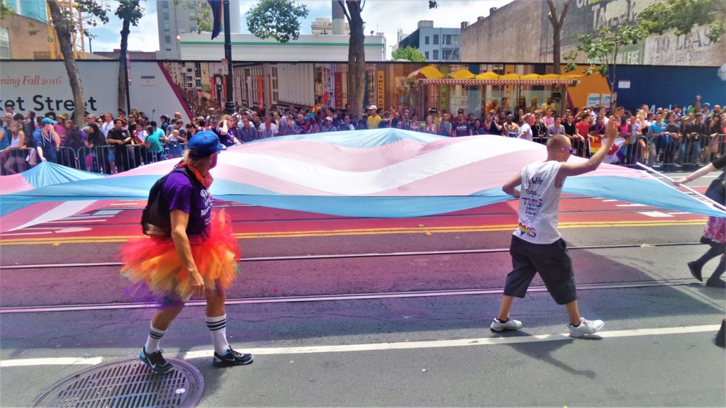 Trans flag, gay pride parade, san francisco