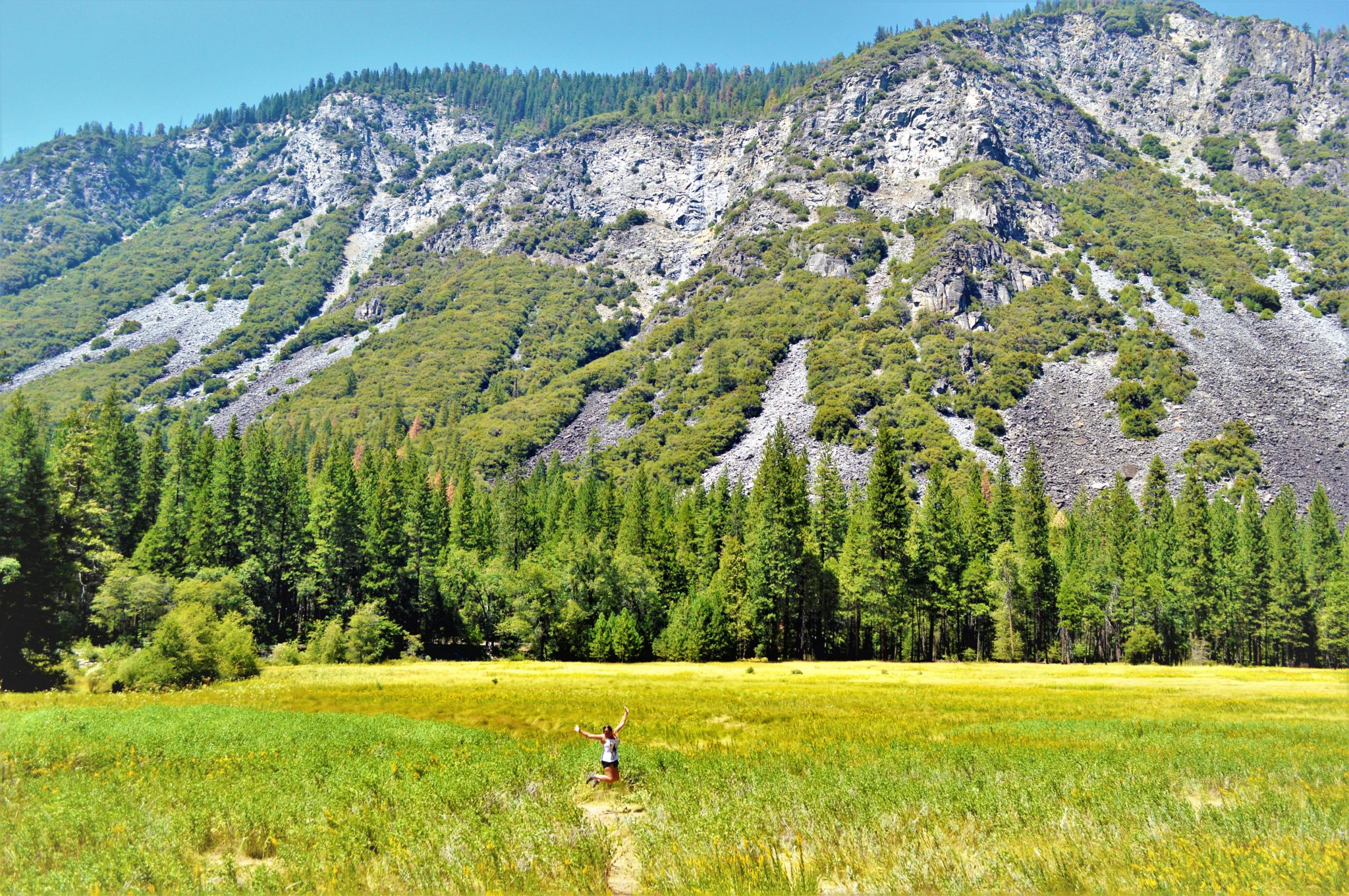 Tulomne Meadows, Yosemite National Park, California