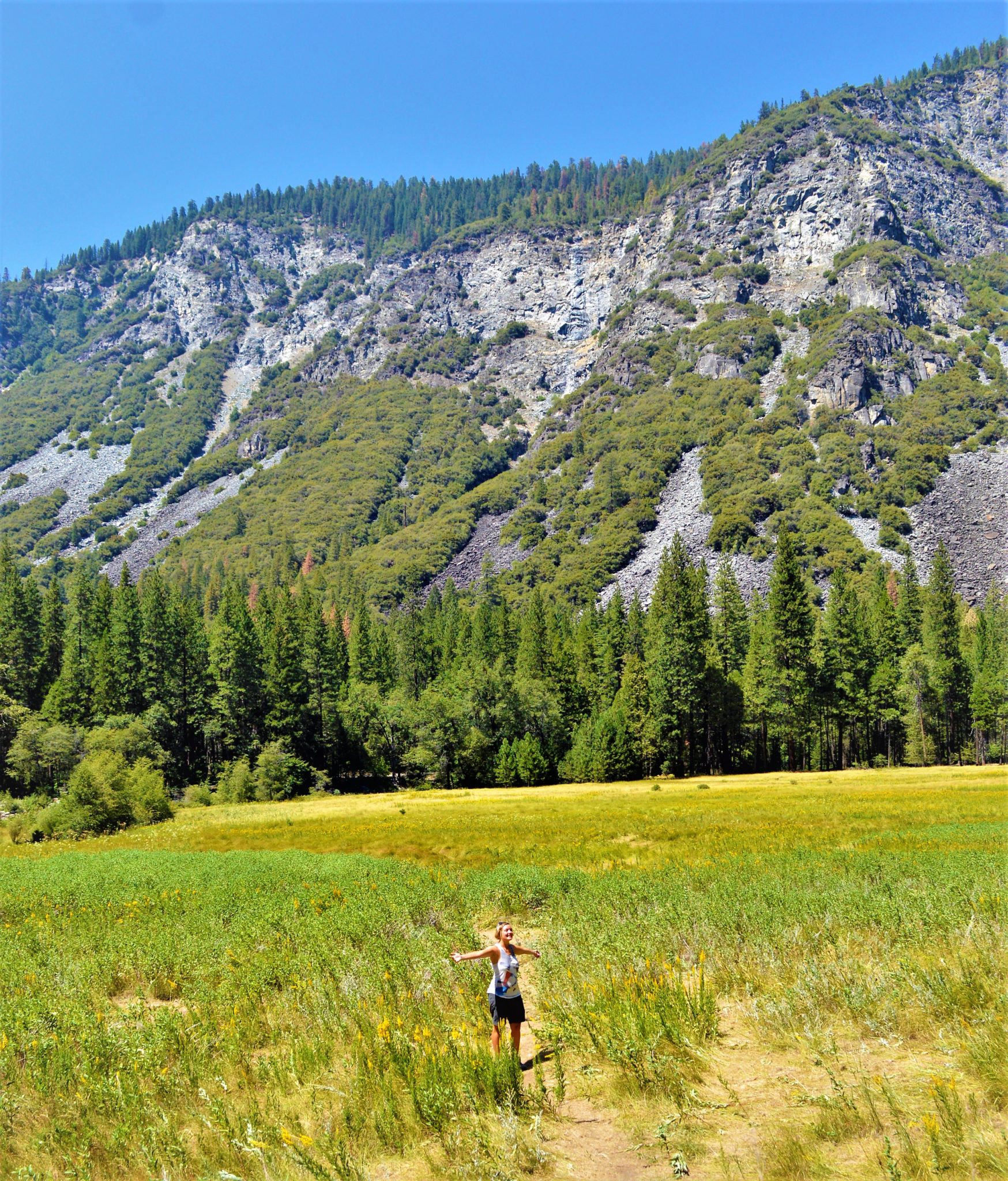 Tulumn Meadows, Yosemite, California