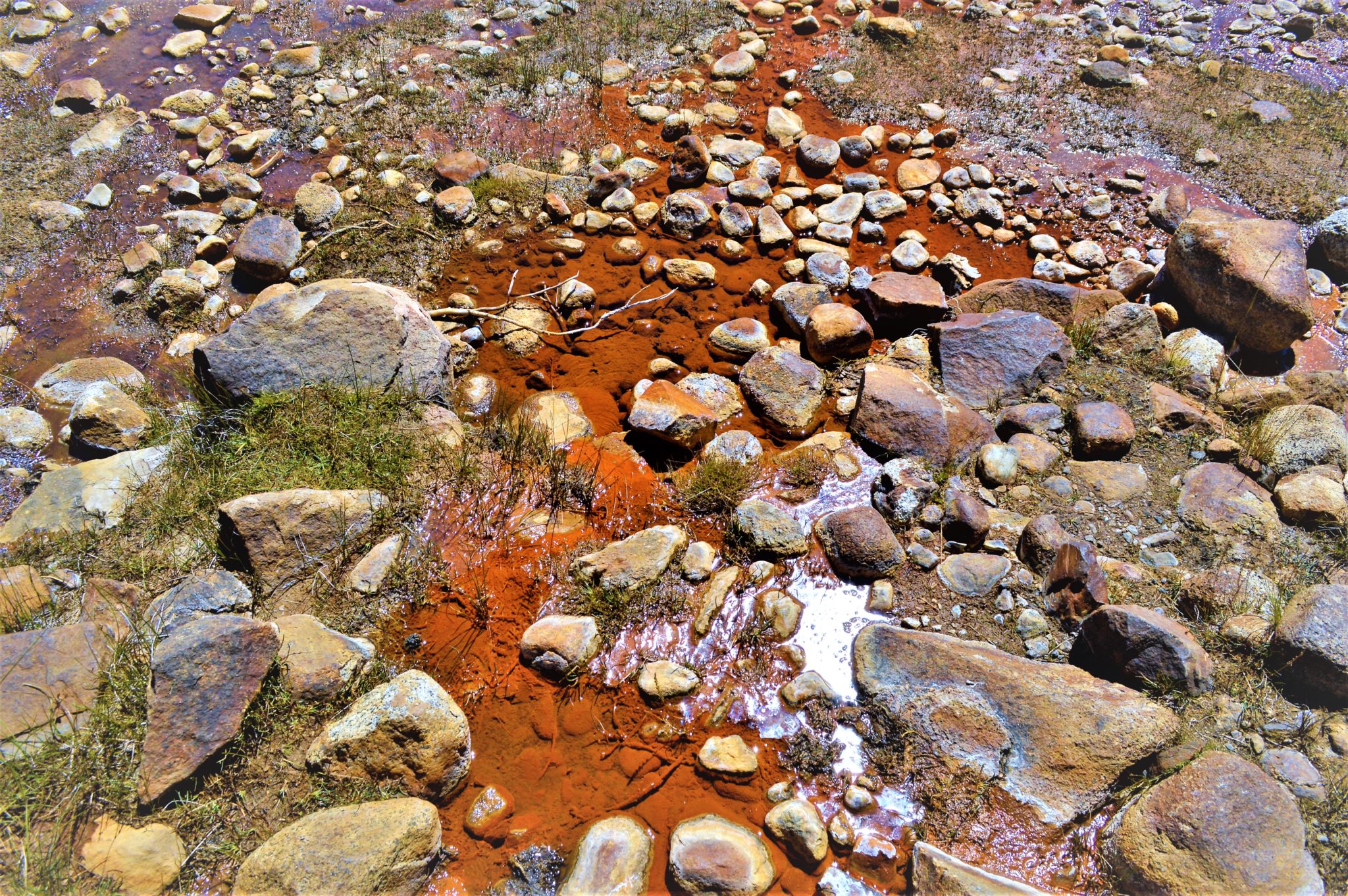 Water by soda springs, Yosemite National park, things to do at yosemite, California