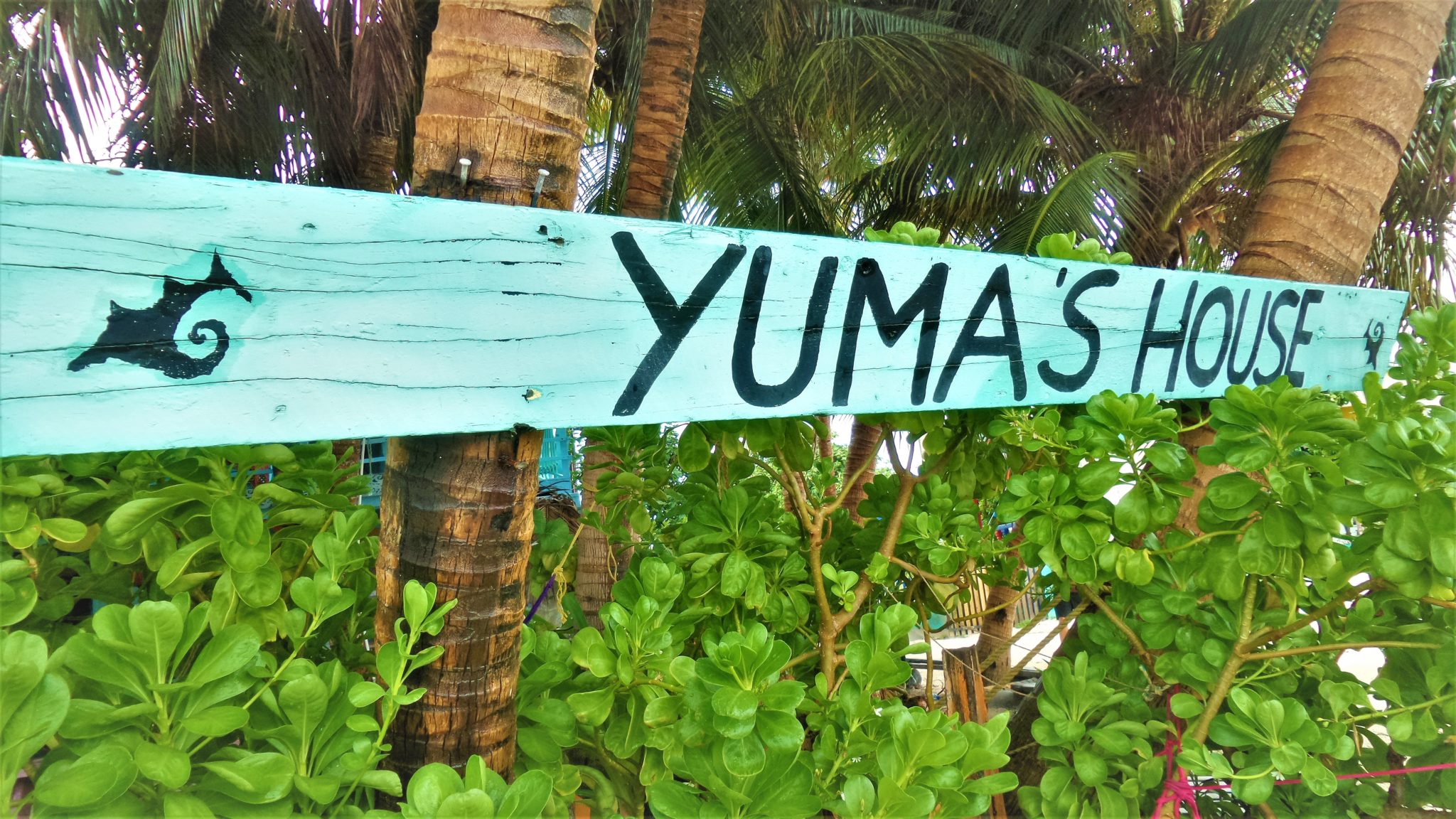 Yuma's House Hostel sign, Belize