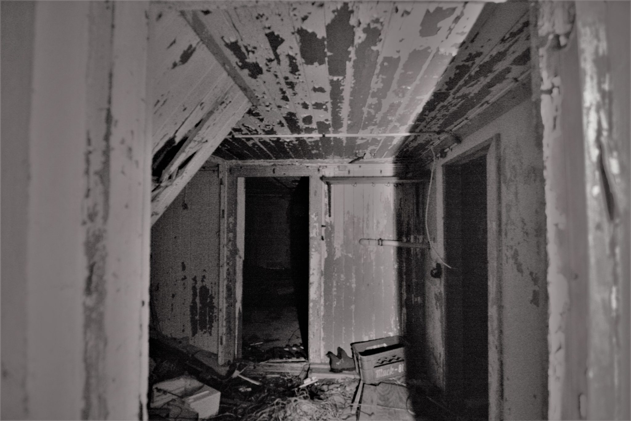 Inside Ghost house, Iceland, Northern lights tour, Happy World