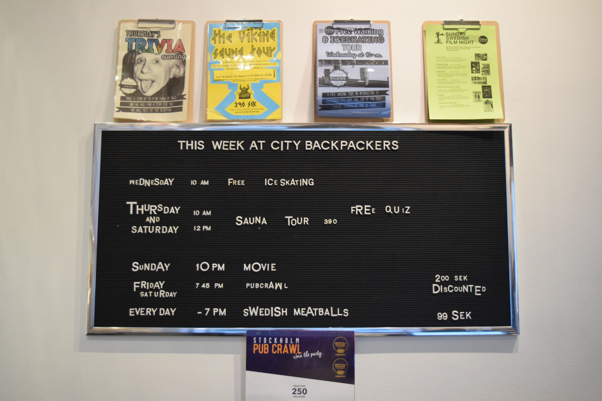 City backpackers hostel events