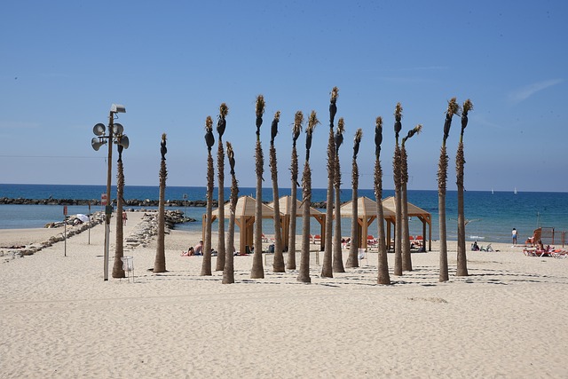 Best things to do in Tel Aviv