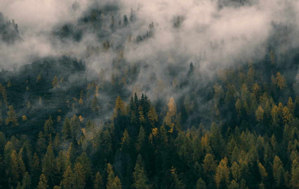 Hiking guide to the west highland way 