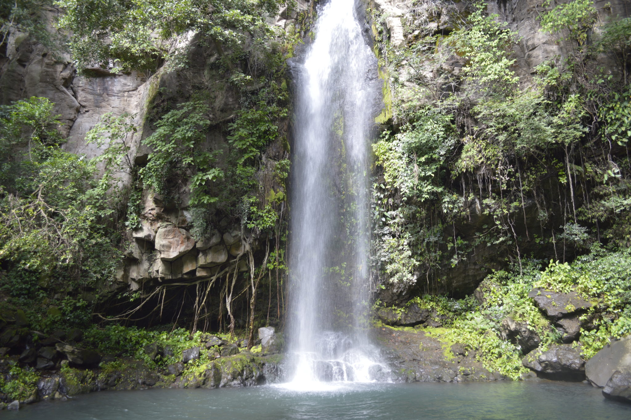 La Cangreja Waterfall in Costa Rica