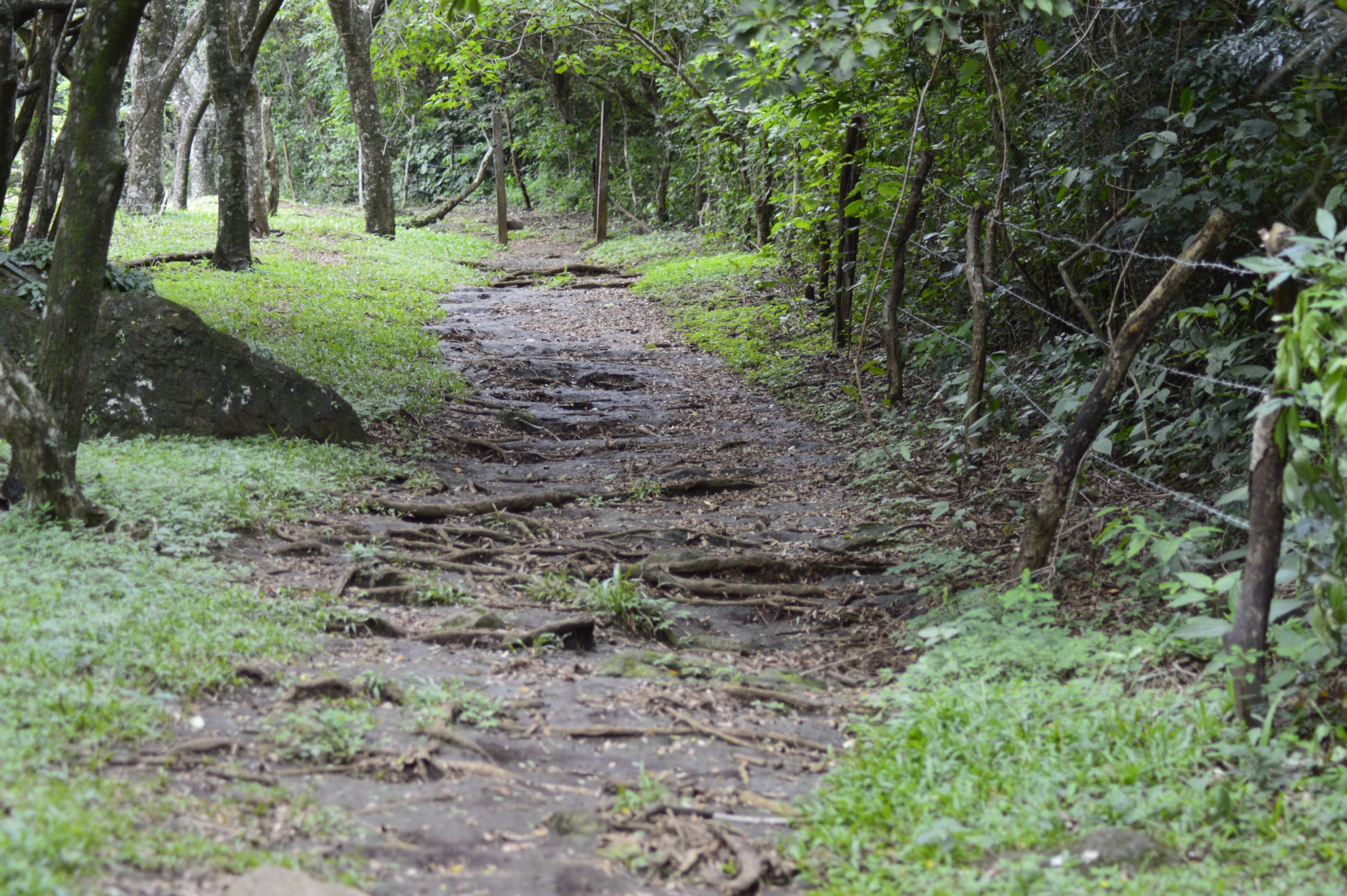 Start of the La Cangreja Trail, rincon De La Veija National Park, Costa Rica