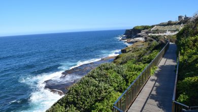 A photograph of the Coastal Walk in Sydney Australia