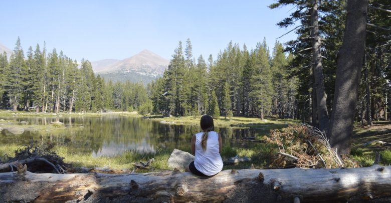 Photograph of Yosemite National Park, California, USA