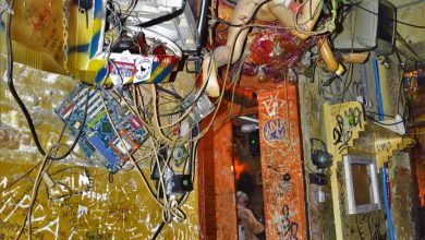 Manakin on wall, Szimpla Kert ruin bar, Budapest, Hungary