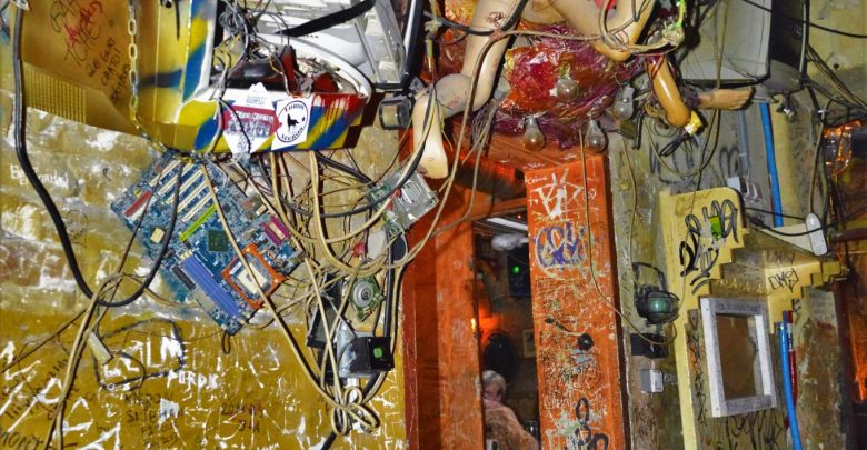 Manakin on wall, Szimpla Kert ruin bar, Budapest, Hungary