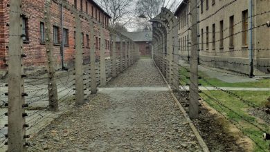 Auchwitz and Birkenau barbed wire, Poland, Europe
