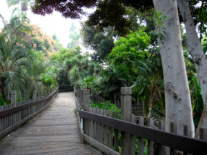 Top San Diego Hikes - Balboa Park Trails