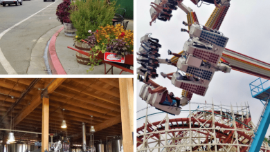 Top Things to do in San Diego Pinterest